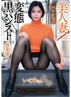 完全版動画全視聴