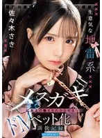 完全版動画全視聴