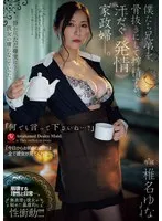 完全版動画全視聴