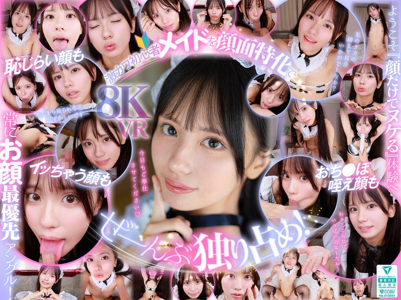 【VR】ウブで、健気で、照れ屋さん。ゼロ距離で恥じらいスケベご奉仕【顔面特化】僕専用性処理メイド 渚あいり | フェラのエロ動画